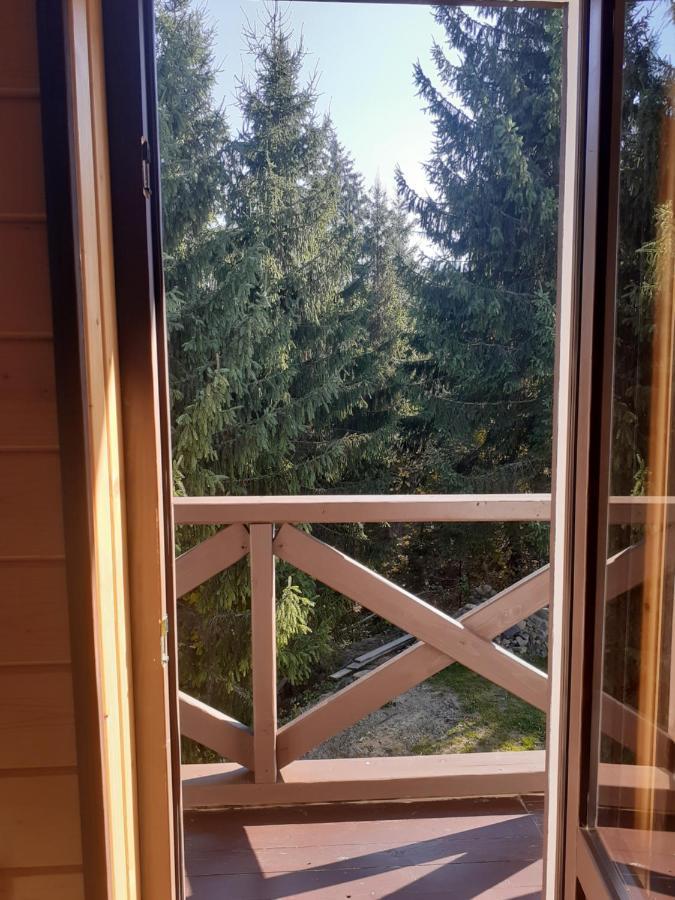 Біла Хата Appartement Iltsi Buitenkant foto